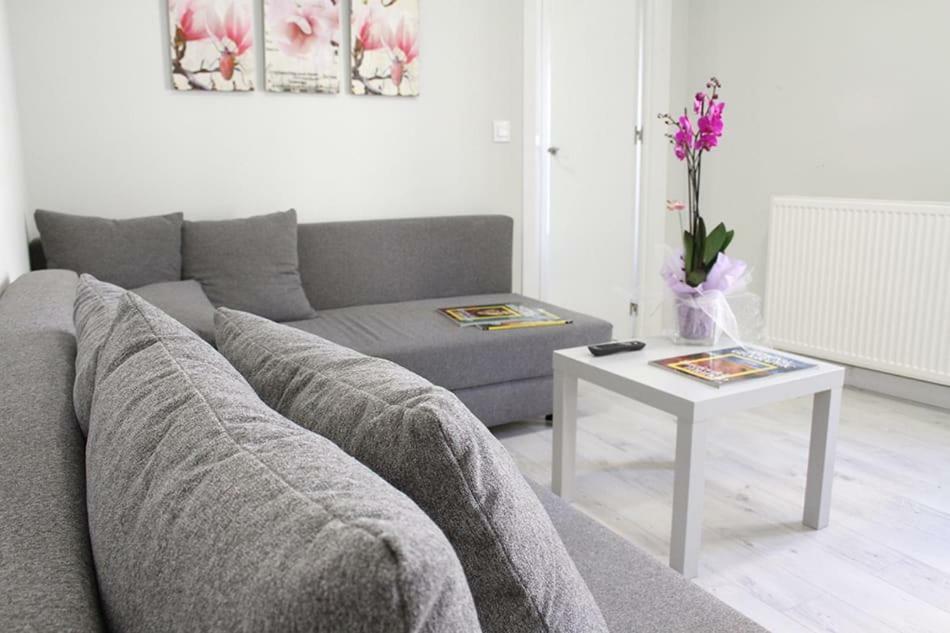 Apartamentos Logrono Centro Eksteriør billede